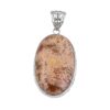Picture Jasper Pendant
