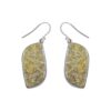 Fossile Coral Dangle Earrings