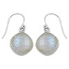 Rainbow Moonstone Earring