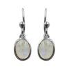 Moonstone Dangle Earrings